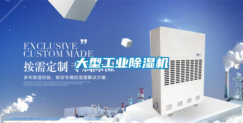 大型工業(yè)除濕機(jī)