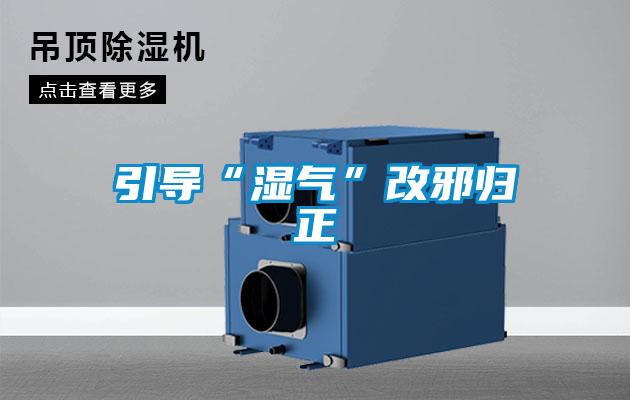 引導“濕氣”改邪歸正