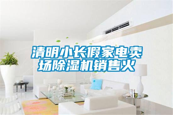 清明小長(zhǎng)假家電賣場(chǎng)除濕機(jī)銷售火