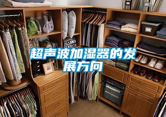 超聲波加濕器的發展方向