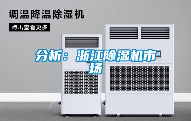 分析：浙江除濕機市場