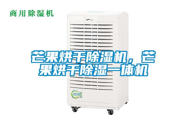 芒果烘干除濕機(jī)，芒果烘干除濕一體機(jī)