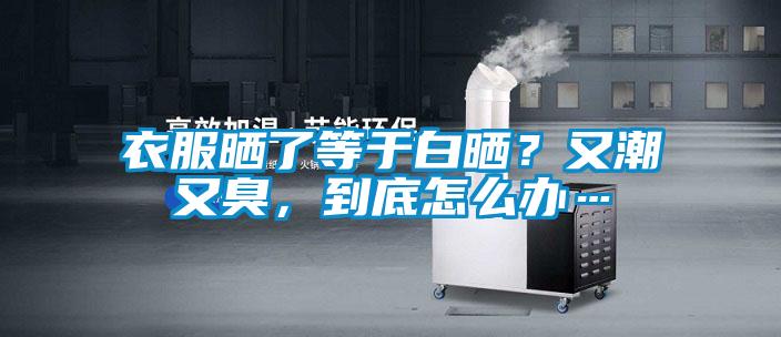 衣服曬了等于白曬？又潮又臭，到底怎么辦…