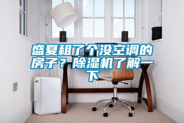 盛夏租了個沒空調的房子？除濕機了解一下