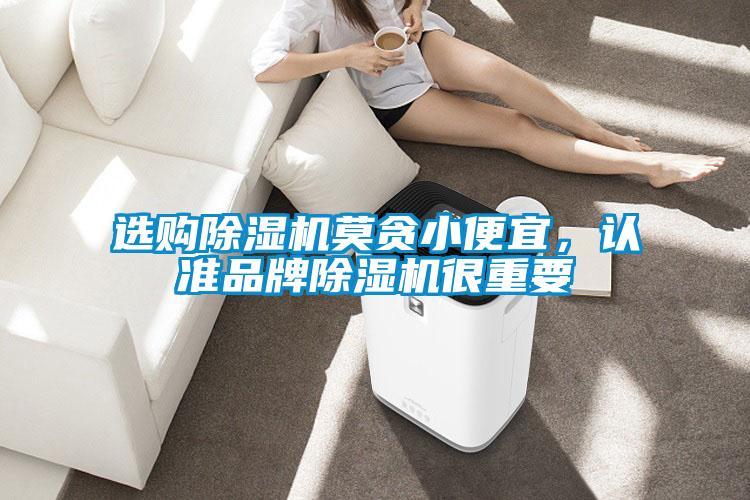 選購除濕機(jī)莫貪小便宜，認(rèn)準(zhǔn)品牌除濕機(jī)很重要