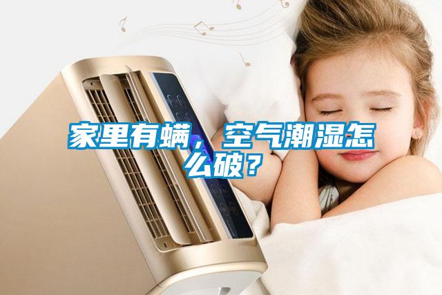 家里有螨，空氣潮濕怎么破？