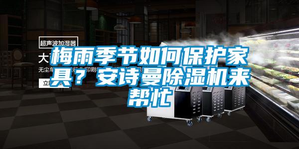 梅雨季節如何保護家具？安詩曼除濕機來幫忙