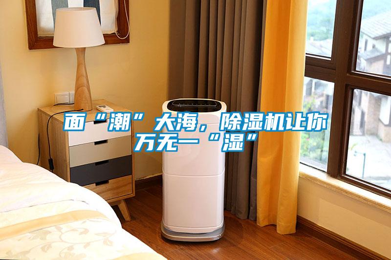 面“潮”大海，除濕機讓你萬無一“濕”