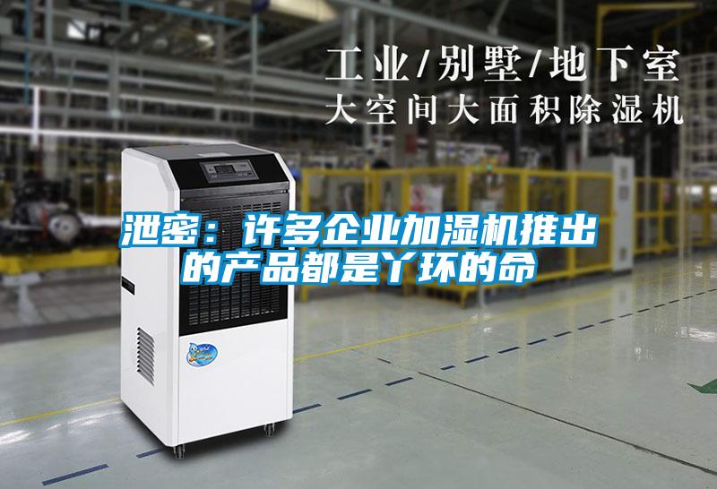 泄密：許多企業(yè)加濕機(jī)推出的產(chǎn)品都是丫環(huán)的命