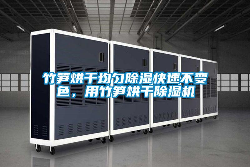 竹筍烘干均勻除濕快速不變色，用竹筍烘干除濕機