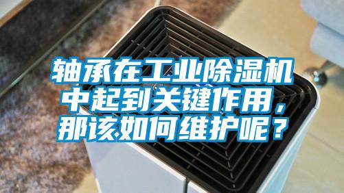 軸承在工業除濕機中起到關鍵作用，那該如何維護呢？