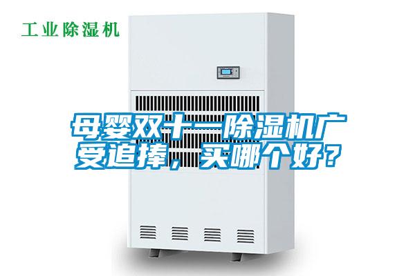 母嬰雙十一除濕機廣受追捧，買哪個好？