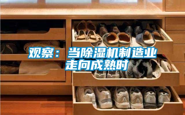 觀察：當除濕機制造業 走向成熟時