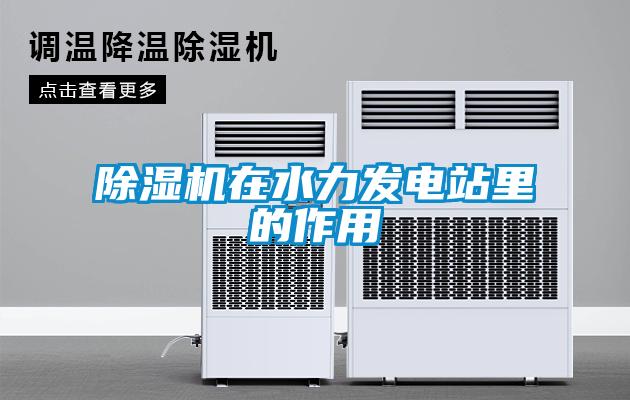 除濕機在水力發電站里的作用