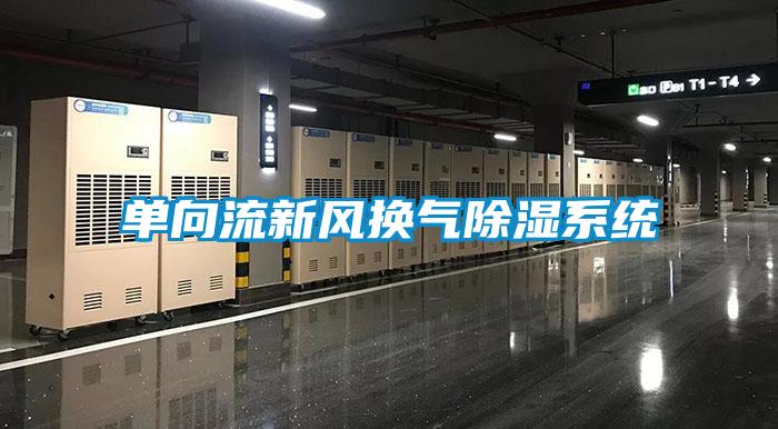 單向流新風換氣除濕系統(tǒng)