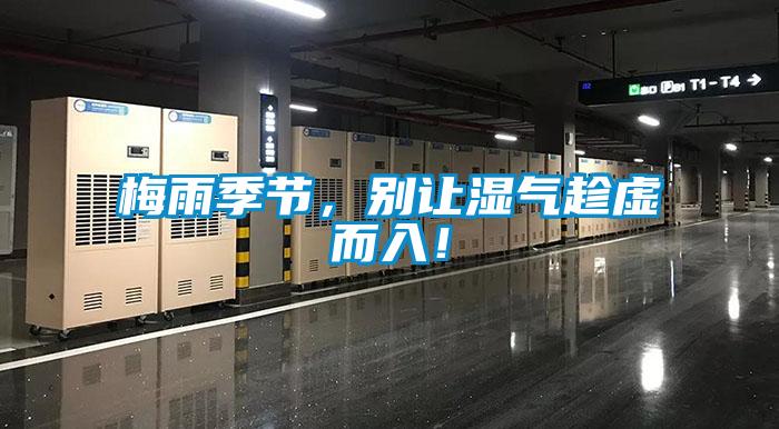 梅雨季節，別讓濕氣趁虛而入！