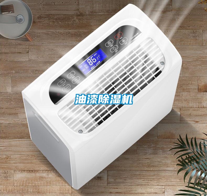 油漆除濕機(jī)