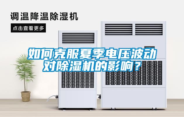 如何克服夏季電壓波動對除濕機的影響?