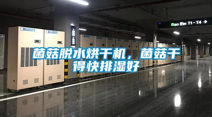 菌菇脫水烘干機(jī)，菌菇干得快排濕好