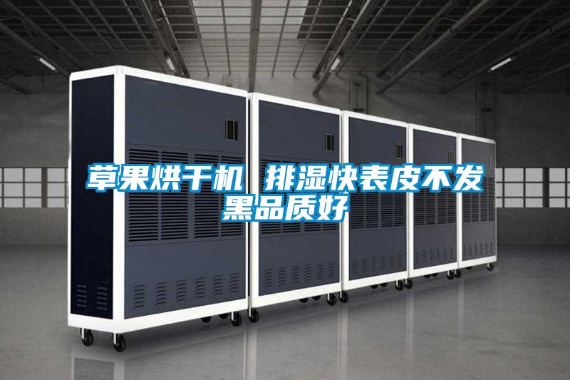 草果烘干機 排濕快表皮不發黑品質好