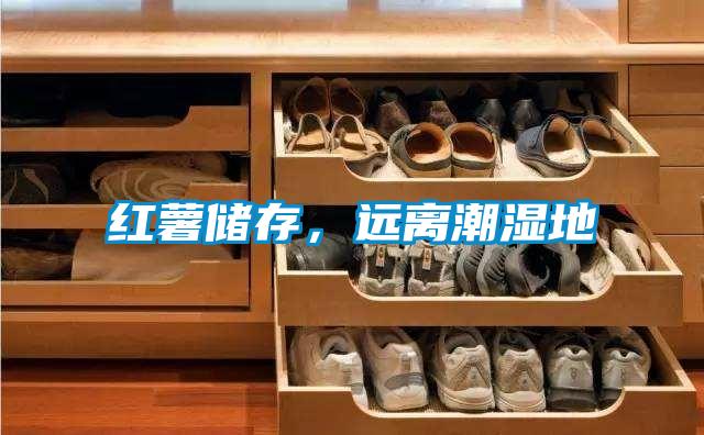 紅薯儲存，遠離潮濕地