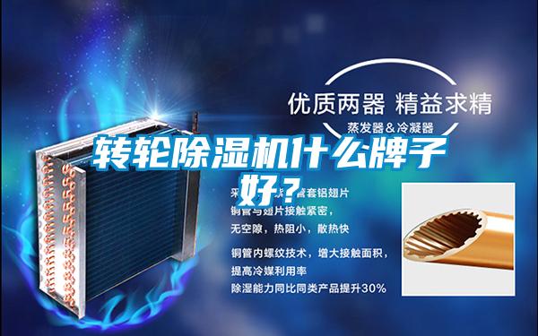 轉輪除濕機什么牌子好？