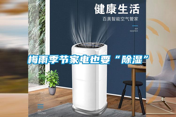 梅雨季節家電也要“除濕”