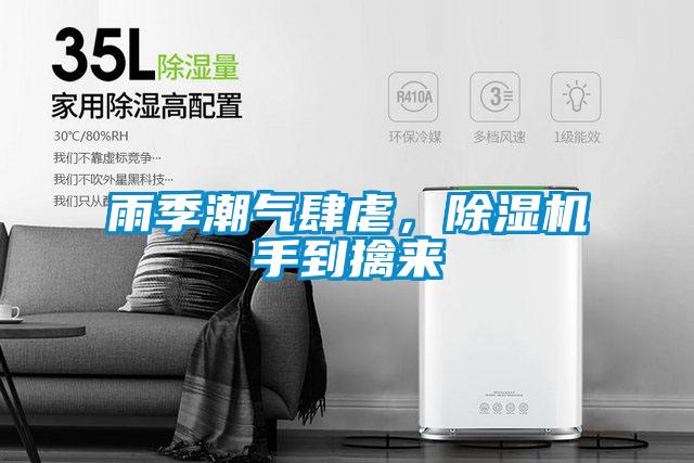 雨季潮氣肆虐，除濕機手到擒來