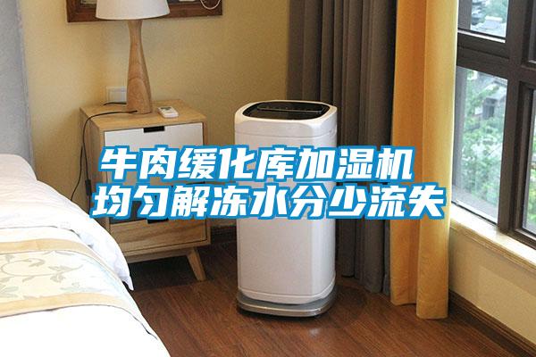 牛肉緩化庫加濕機 均勻解凍水分少流失