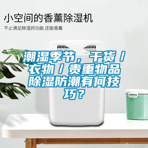 潮濕季節，干貨／衣物／貴重物品除濕防潮有何技巧？