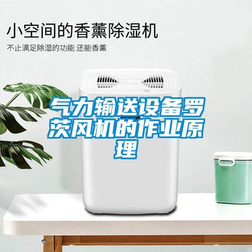 氣力輸送設備羅茨風機的作業原理