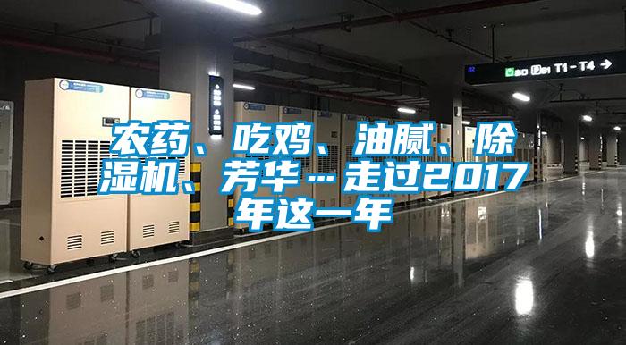 農藥、吃雞、油膩、除濕機、芳華…走過2017年這一年