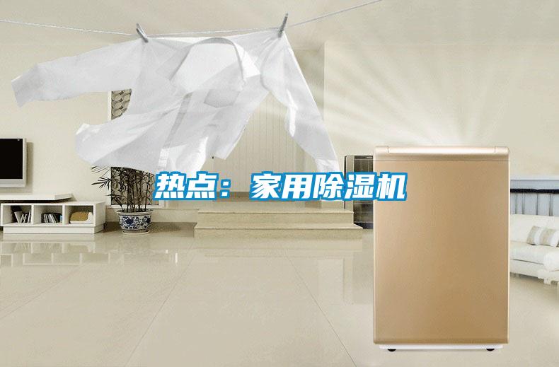 熱點:家用除濕機