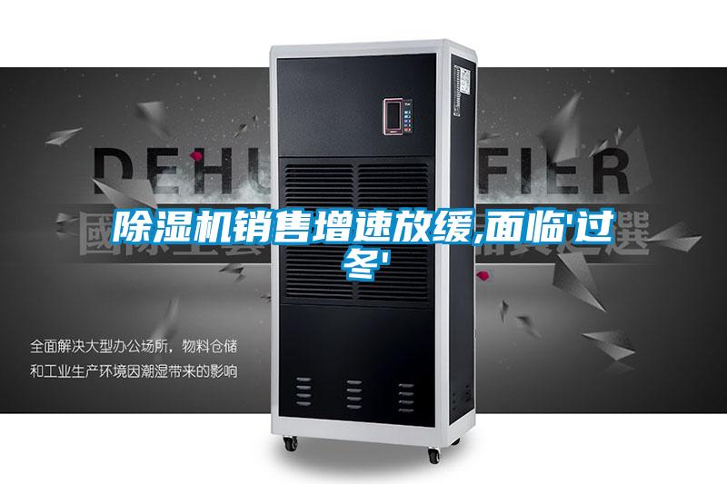 除濕機銷售增速放緩,面臨'過冬'