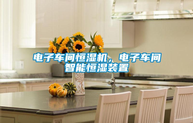 電子車間恒濕機，電子車間智能恒濕裝置