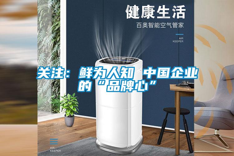 關注：鮮為人知 中國企業的“品牌心”