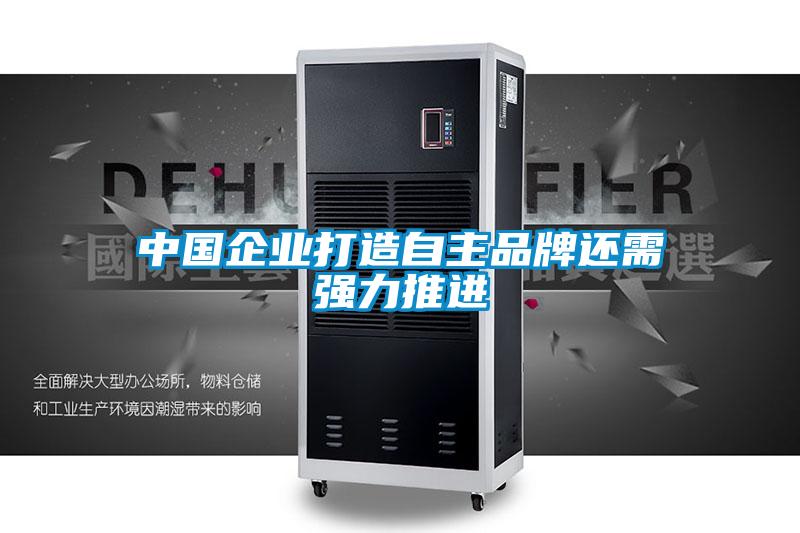 中國企業打造自主品牌還需強力推進