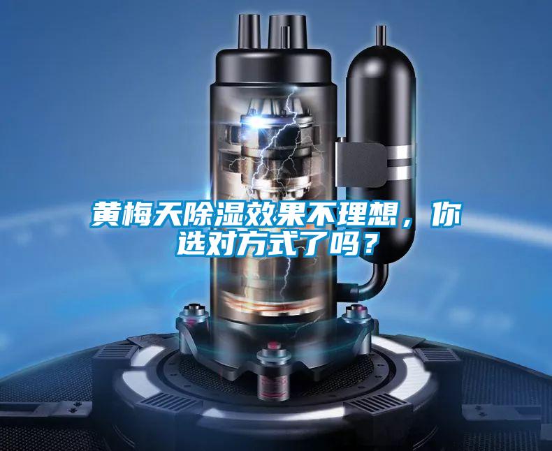 黃梅天除濕效果不理想，你選對方式了嗎？