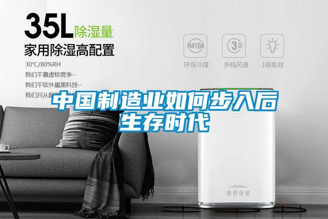 中國制造業如何步入后生存時代