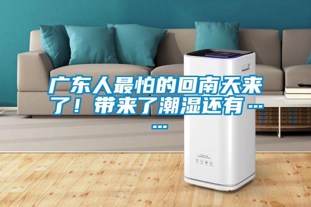 廣東人最怕的回南天來了！帶來了潮濕還有……