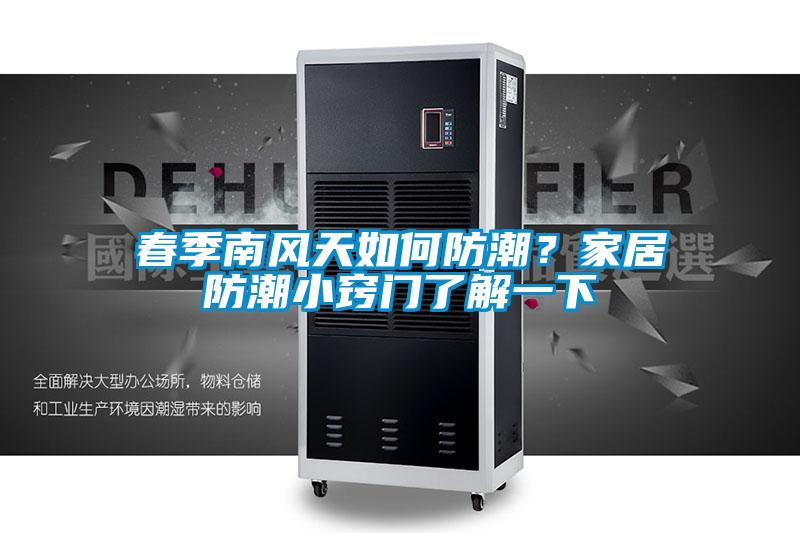 春季南風天如何防潮？家居防潮小竅門了解一下