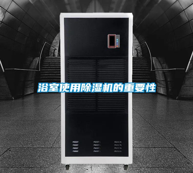 浴室使用除濕機的重要性