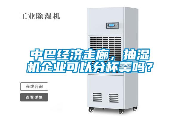 中巴經濟走廊，抽濕機企業可以分杯羹嗎？