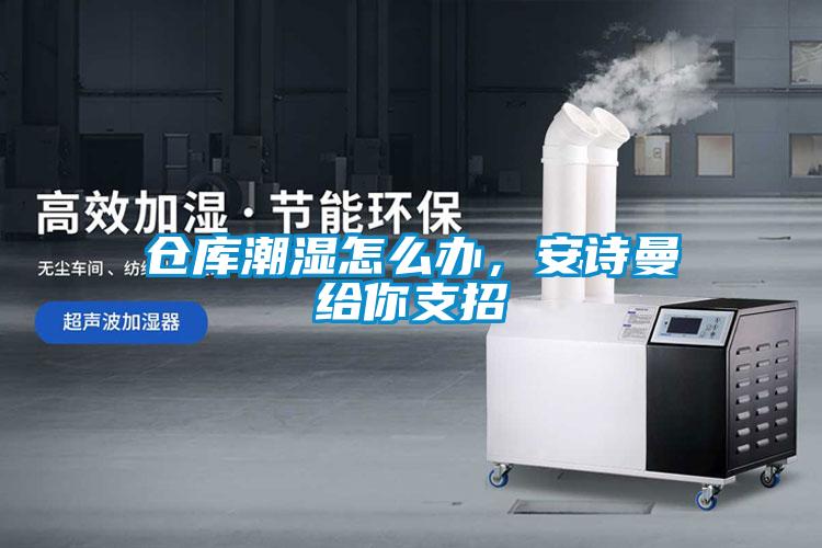 倉庫潮濕怎么辦，安詩曼給你支招