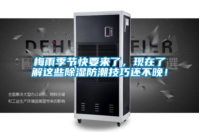 梅雨季節快要來了，現在了解這些除濕防潮技巧還不晚！