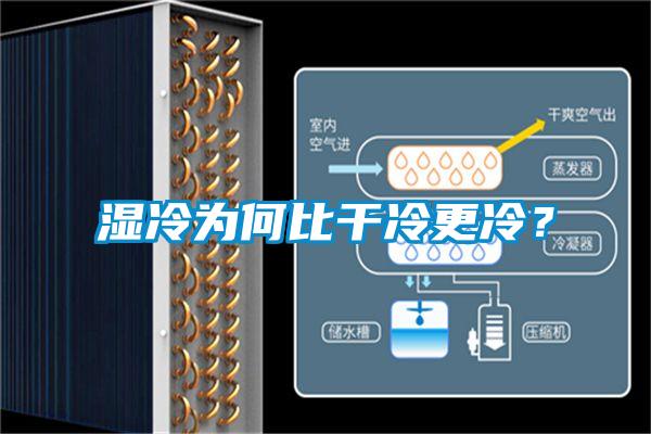 濕冷為何比干冷更冷？