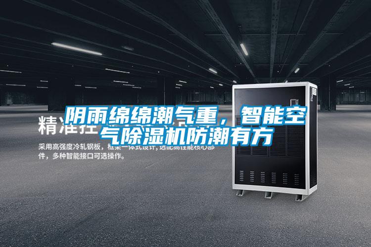 陰雨綿綿潮氣重，智能空氣除濕機防潮有方