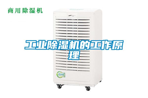工業除濕機的工作原理