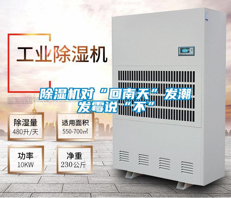 除濕機對“回南天”發潮發霉說“不”