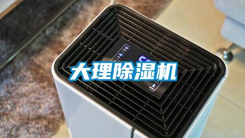 大理除濕機